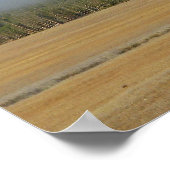 Poster du bison de Yellowstone (Coin)