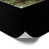 Poster du bonheur (Coin)