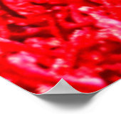 Poster du bouddha de repos (Coin)