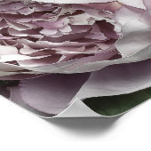 Poster du Bouquet de Peony Rose Dusty (Coin)