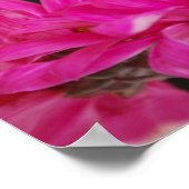 Poster du bouquet de printemps (Coin)