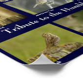 Poster du Bruant (Coin)