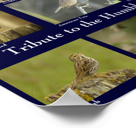 Poster du Bruant (Coin)