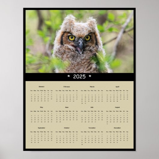 Poster du calendrier 2025 de la muraille de la Cho (Devant)