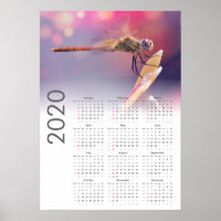 Poster du calendrier des libellules 2020