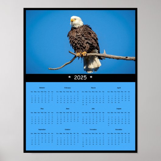 Poster du calendrier du mur d'aigle chauve 2025 (Devant)