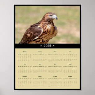 Poster du calendrier du mur de faucon à queue roug
