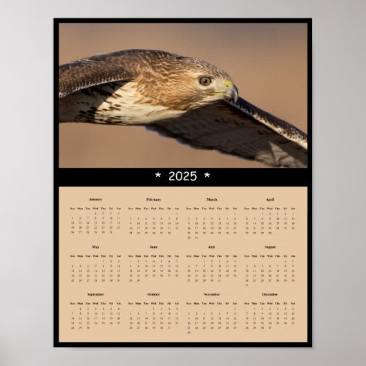 Poster du calendrier du mur de faucon rouge 2025 (Devant)