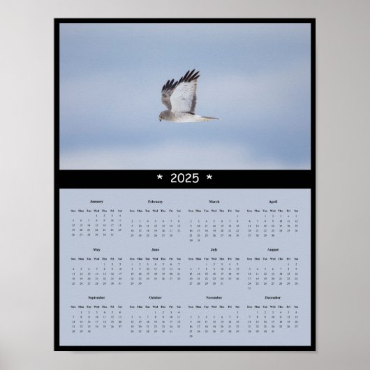 Poster du calendrier du mur de Harrier Hawk 2025 (Devant)