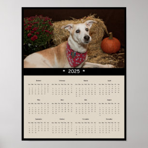 Poster du calendrier mural de chiens de races mixt