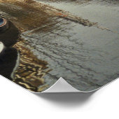 Poster du canal d'Amsterdam (Coin)