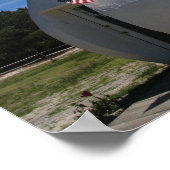 Poster du canard de Long Island (Coin)