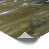 Poster du canard de Mallard de Clear Creek (Coin)