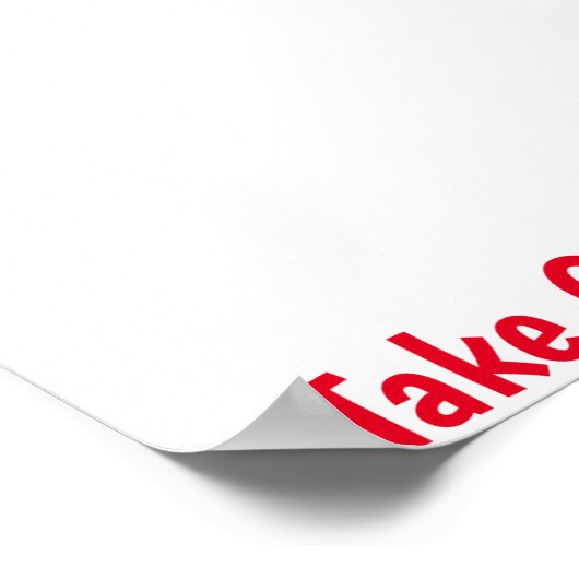 Poster du canard Mallard (Coin)