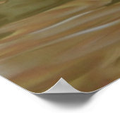 Poster du canard mandarin (Coin)