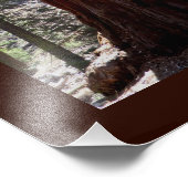 Poster du canyon Sequoia/Kings (Coin)