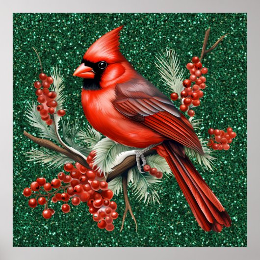 Poster du cardinal (Devant)