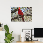Poster du cardinal (Bureau à domicile)