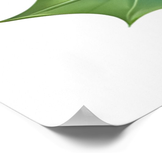 Poster du cardinal (Coin)