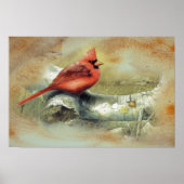 Poster du cardinal (Devant)