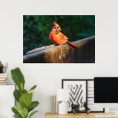 Poster du cardinal (Bureau à domicile)