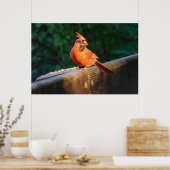 Poster du cardinal (Cuisine)