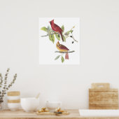 Poster du Cardinal Audubon (Cuisine)