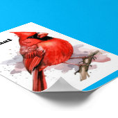 Poster du cardinal des oiseaux (Coin)