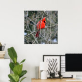 Poster du cardinal royal rouge 24x24 (Bureau à domicile)
