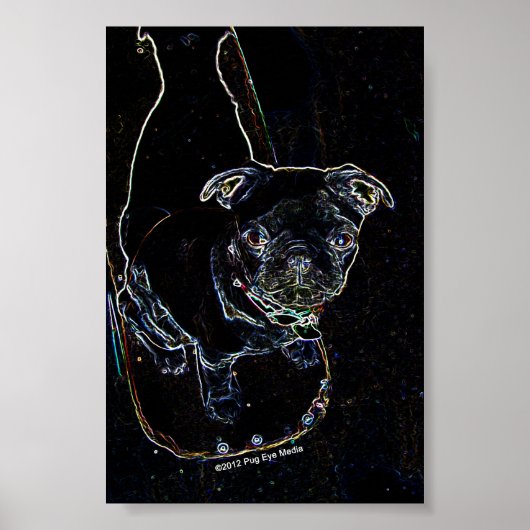 Poster du Carlin de skateboard (Devant)