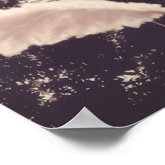 Poster du Carnaval de Ferris Wheel (Coin)