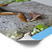 Poster du Carré de collage Plantes d'oiseaux (Coin)