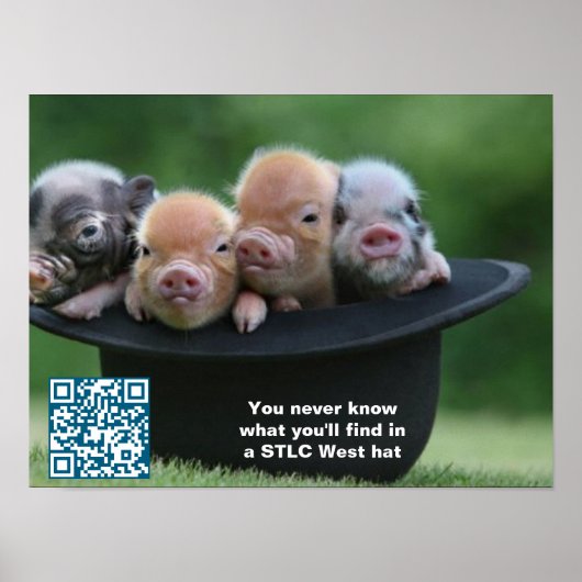 Poster du Casquette STLC West (Devant)