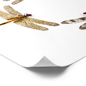 Poster du Cercle des libellules III (Coin)