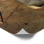 Poster du cercle magique Waterhouse (Coin)