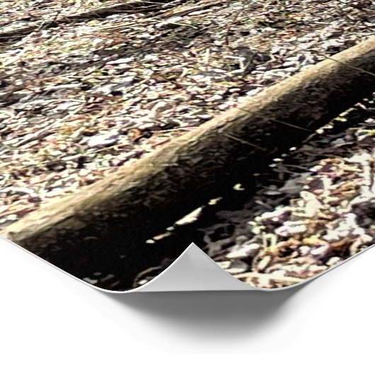 Poster du cerf dans les bois (Coin)