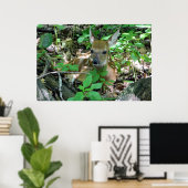 Poster du cerf de Virginie dans Woods (Bureau à domicile)