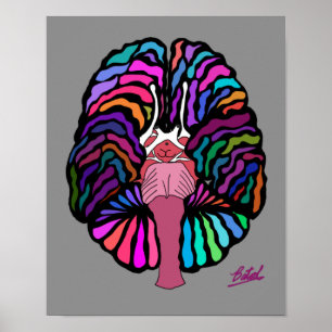 Poster du cerveau de couleur ligne ondulée