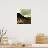 Poster du chameau de repos (Cuisine)