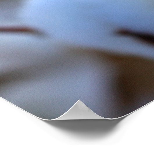 Poster du champ de coton (Coin)