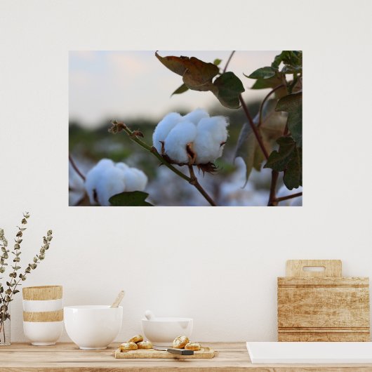 Poster du champ de coton (Cuisine)