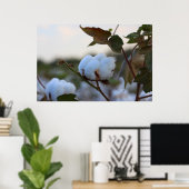 Poster du champ de coton (Bureau à domicile)