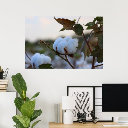 Poster du champ de coton (Bureau à domicile)