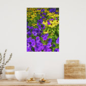 Poster du champ de couleurs (Cuisine)