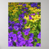 Poster du champ de couleurs (Devant)