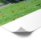 Poster Du Champ De Drapeaux ! (Coin)