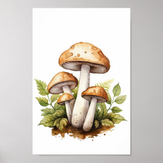 Poster du champignon botanique, peinture aquarelle