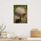 Poster du champignon Inkcap (Cuisine)
