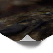 Poster du champignon Marasmius rotula (Coin)