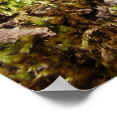 Poster du champignon Phellinus igniarius (Coin)